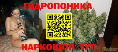 a pvp Краснознаменск