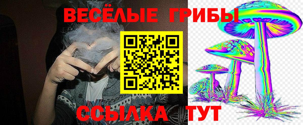 Барабинск  Псилоцибиновые грибы прущие грибы  Вход с VPN  Галлюциногенные грибы прущие грибы 